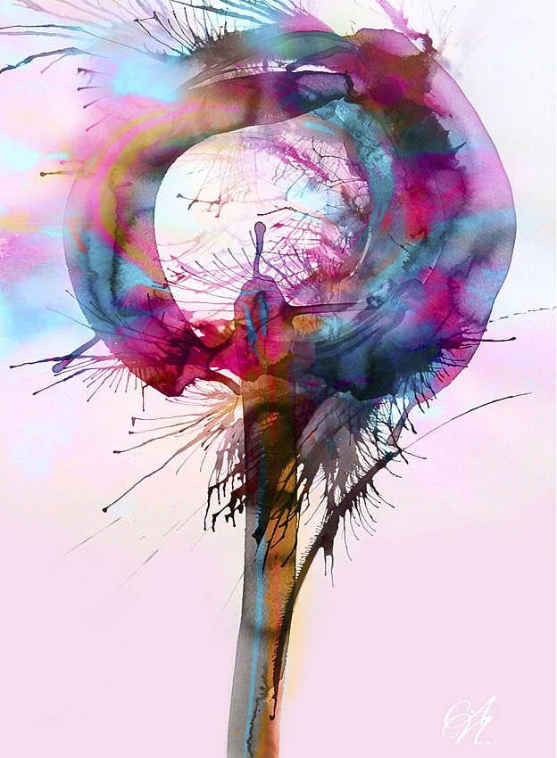 03-Fine-Art.jpg