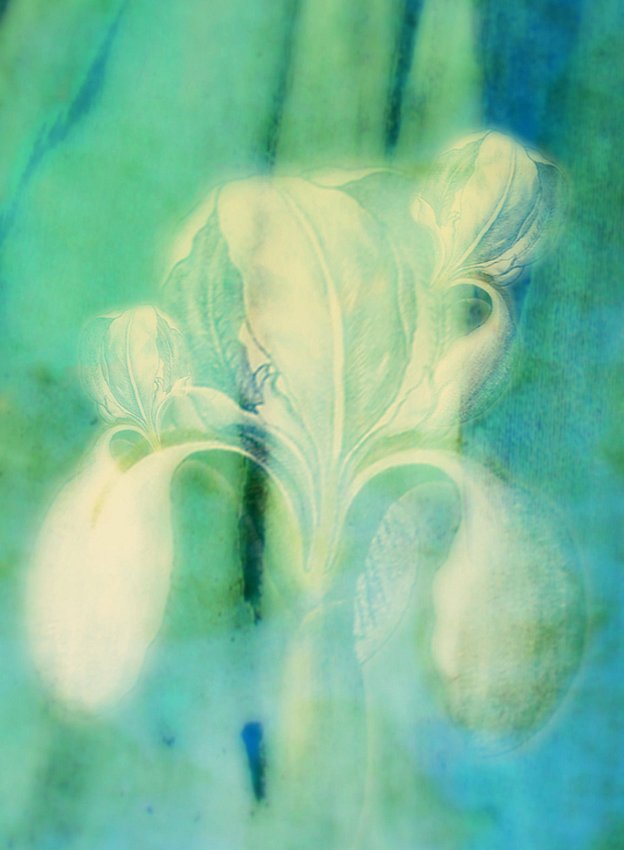 09-Fine-Art.jpg