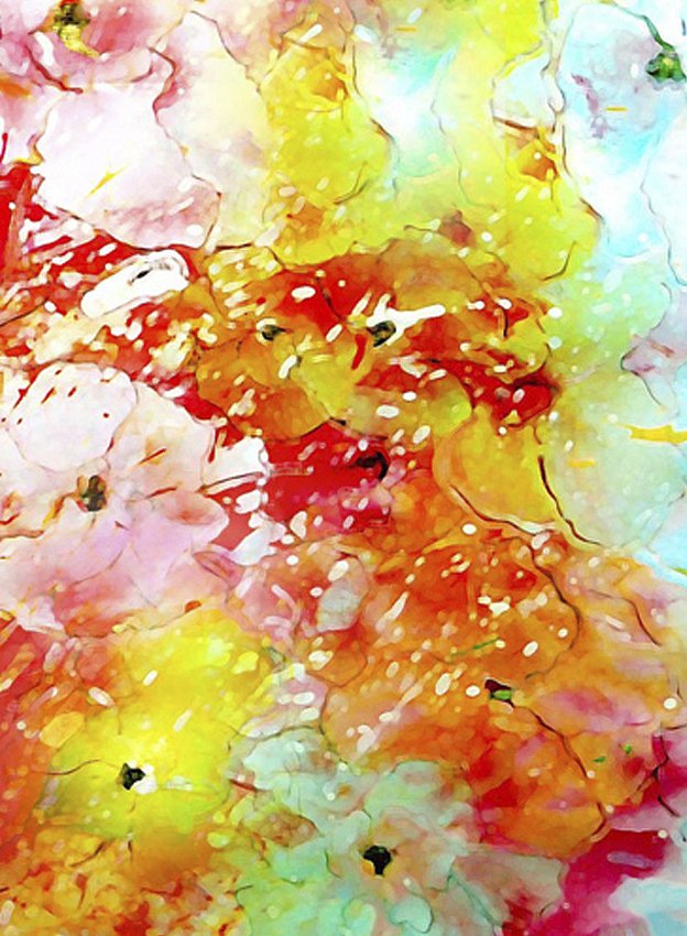 013-Fine-Art-001.jpg